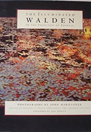The Illuminated Walden (Photos by John Wawrzonek)