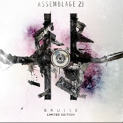 Assemblage 23 - Bruise