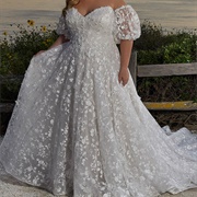 Embroidered Lace Wedding Dress