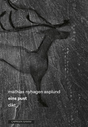 Eins Pust (Mathias Nyhagen Asplund)