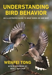 Understanding Bird Behavior (Wenfei Tong)