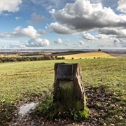 The Poem Tree Commemorative Stone