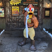 Launchpad McQuack