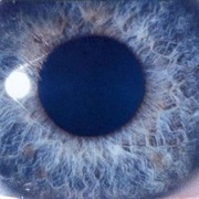 Moontower - Dan Swanö (1999)