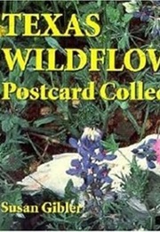 Texas Wildflower Postcard Collection (Natural World) (Susan Gibler)