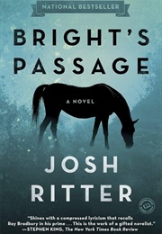 Bright's Passage (Josh Ritter)