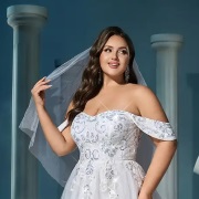 Metallic Decoration on Bodice