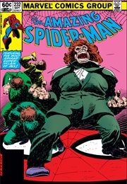 The Amazing Spider-Man #232 (Roger Stern & John Romita Jr.)