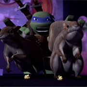 S2.E2: Invasion of the Squirrelanoids