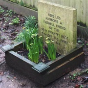 Grave of Hambone Jr.