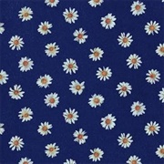 Kinoko Teikoku - Long Goodbye