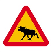 Moose Road Sign