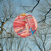 They Might Be Giants - Erase