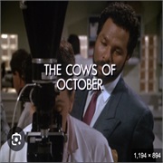 T4.E12. the Cows of October (1988)
