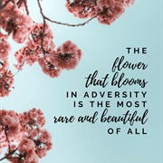 The Flower That Blooms in Adversity Is the Most Rare and Beautiful of Them All