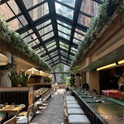 Garden Room, Montréal