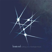 Walking on a Flashlight Beam - Lunatic Soul