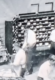 Carriers at Work, U.S.P.O. (1903)