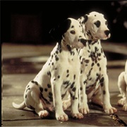 Dogs Dont Speak in 101 Dalmation Live Action