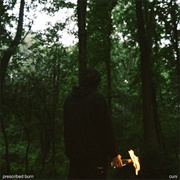 Prescribed Burn by Cuni