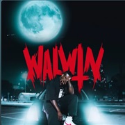 The Prius Diaries: A Hybrid Story (WALWIN, 2023)