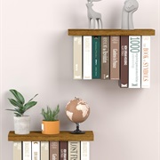 Book Holder Shelves
