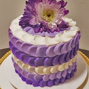 Cake With Scallop Ruffles Texture