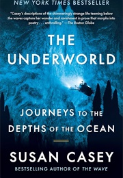 The Underworld: Journeys to the Depths of the Ocean (Susan Casey)