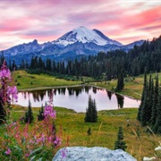 Tipsoo Lake, Mt. Rainier National Park