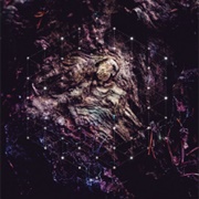 The Fall of Consciousness - Psychonaut