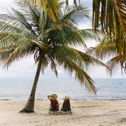Sit Under a Palm Tree