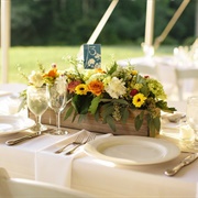 Trough Style Holder for Centerpiece