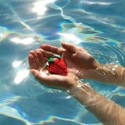 Mia Pharaoh - Miniature Tigers