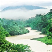 Bosawás Biosphere Reserve, Nicaragua