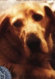 Old Yeller (Fred Gipson)