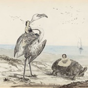 Photocollage From the Berkeley Album (Georgina Louisa Berkeley)