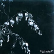 David Matias - Still Life EP