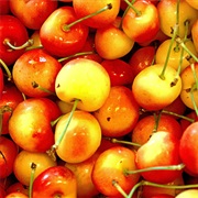 Rainier Cherries