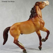 Semi-Rearing Mustang