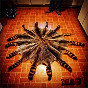 Fakemink & Mag - Wild One