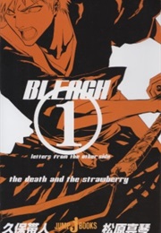 Bleach: Letters From the Other Side (Tite Kubo)