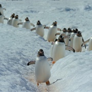 S1.E2: Frozen Worlds