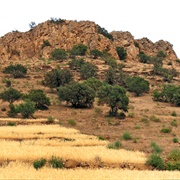 Arganeraie Biosphere Reserve, Morocco