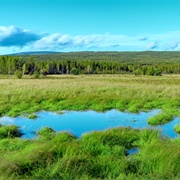 Hanma Biosphere Reserve, Inner Mongolia, China