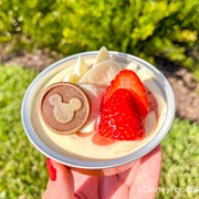 Fruits Rouge Cheesecake