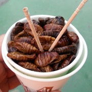 Beondegi (Cooked Silkworm Pupae).