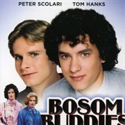 Bosom Buddies Season 1