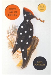 First Law of Holes (Meg Pokrass)