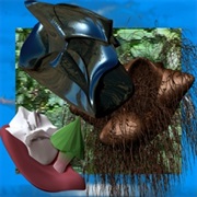 Woopheadclrms – Meeting Room + Rare Plants