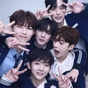 All of Say My Name Team Survived